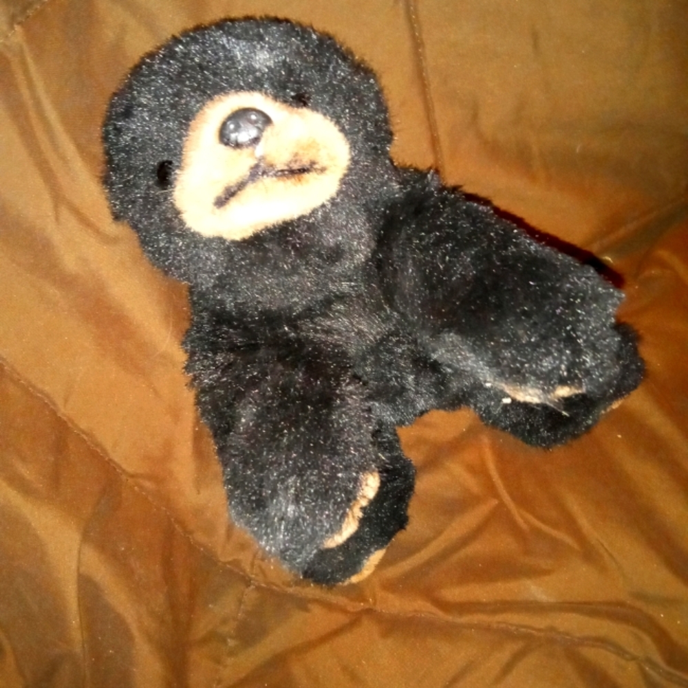 Black Bear Plush Stuffed Animal by Wildlife Artists